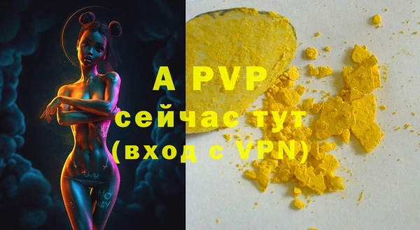 a pvp Белокуриха