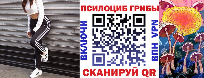 Галлюциногенные грибы Cubensis  Карпинск 